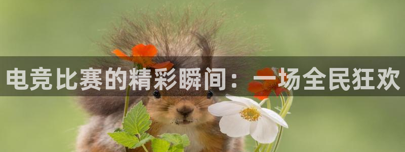 必赢电竞最新比赛