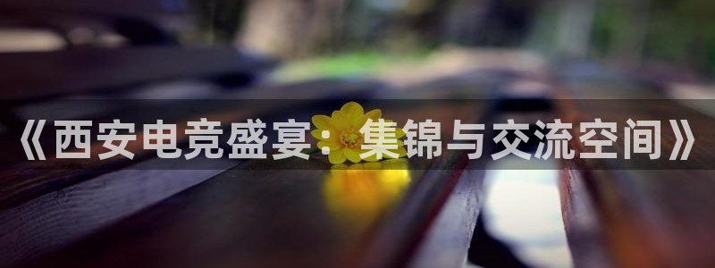 必赢电竞最新比赛：《西安电竞盛宴：集锦与交流空间》