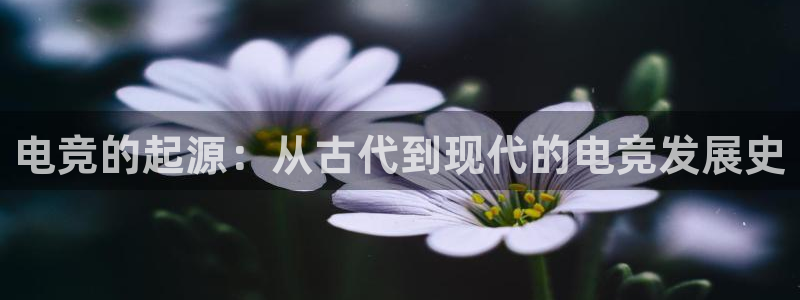 必赢电竞：电竞的起源：从古代到现代的电竞发展史