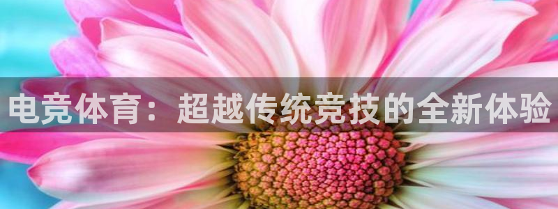 必赢电竞最新比赛