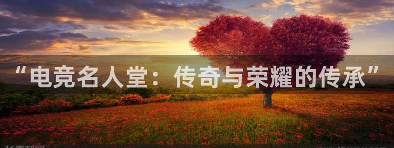 必赢电竞：“电竞名人堂：传奇与荣耀的传承”
