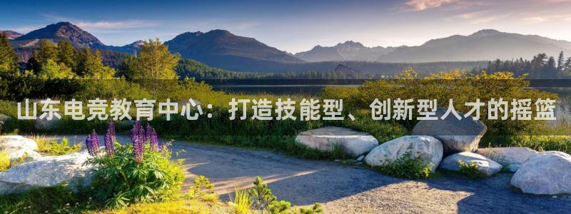 必赢电竞最新比赛：山东电竞教育中心：打造技能型、创新型人才的摇篮