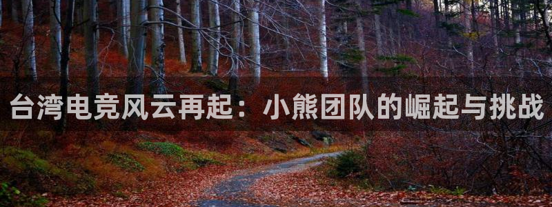 必赢电竞最新比赛：台湾电竞风云再起：小熊团队的崛起与挑战