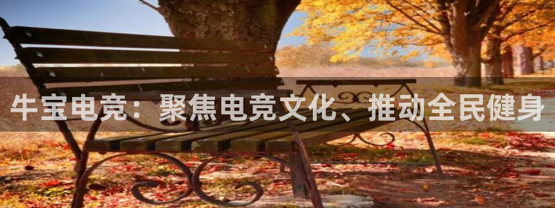 必赢电竞最新比赛：牛宝电竞：聚焦电竞文化、推动全民健身