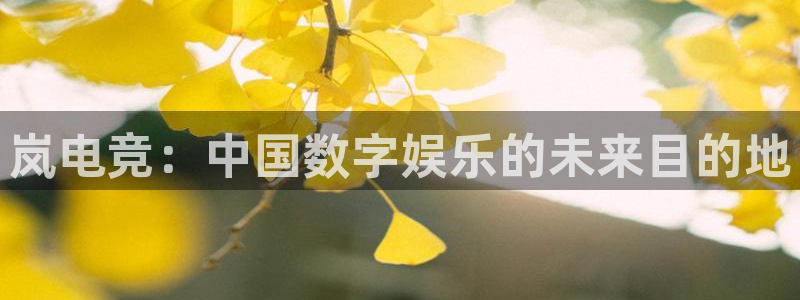 必赢电竞最新比赛：岚电竞：中国数字娱乐的未来目的地